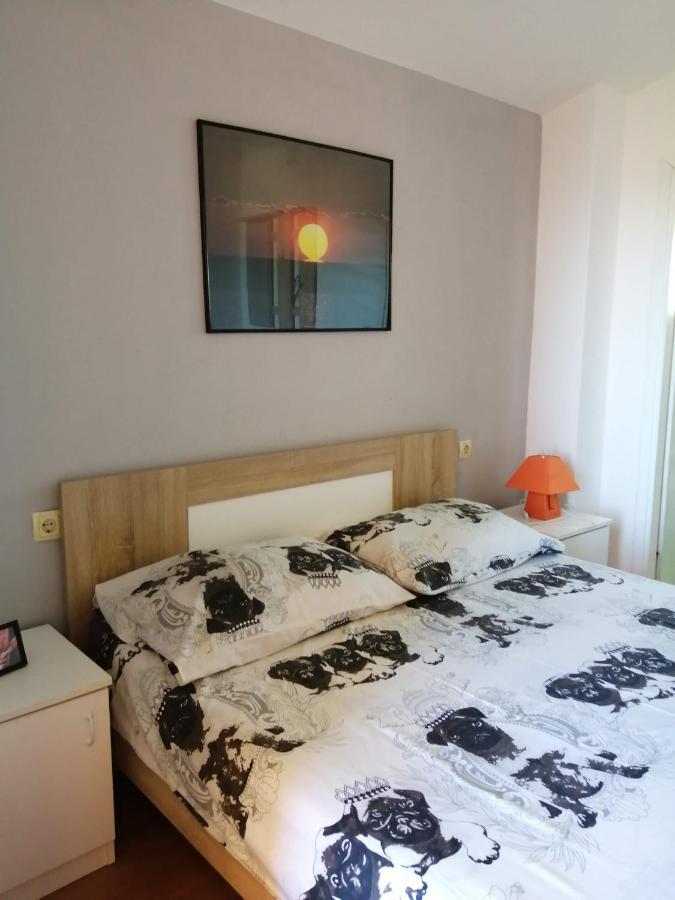Apartmani A&N Bibinje Kültér fotó