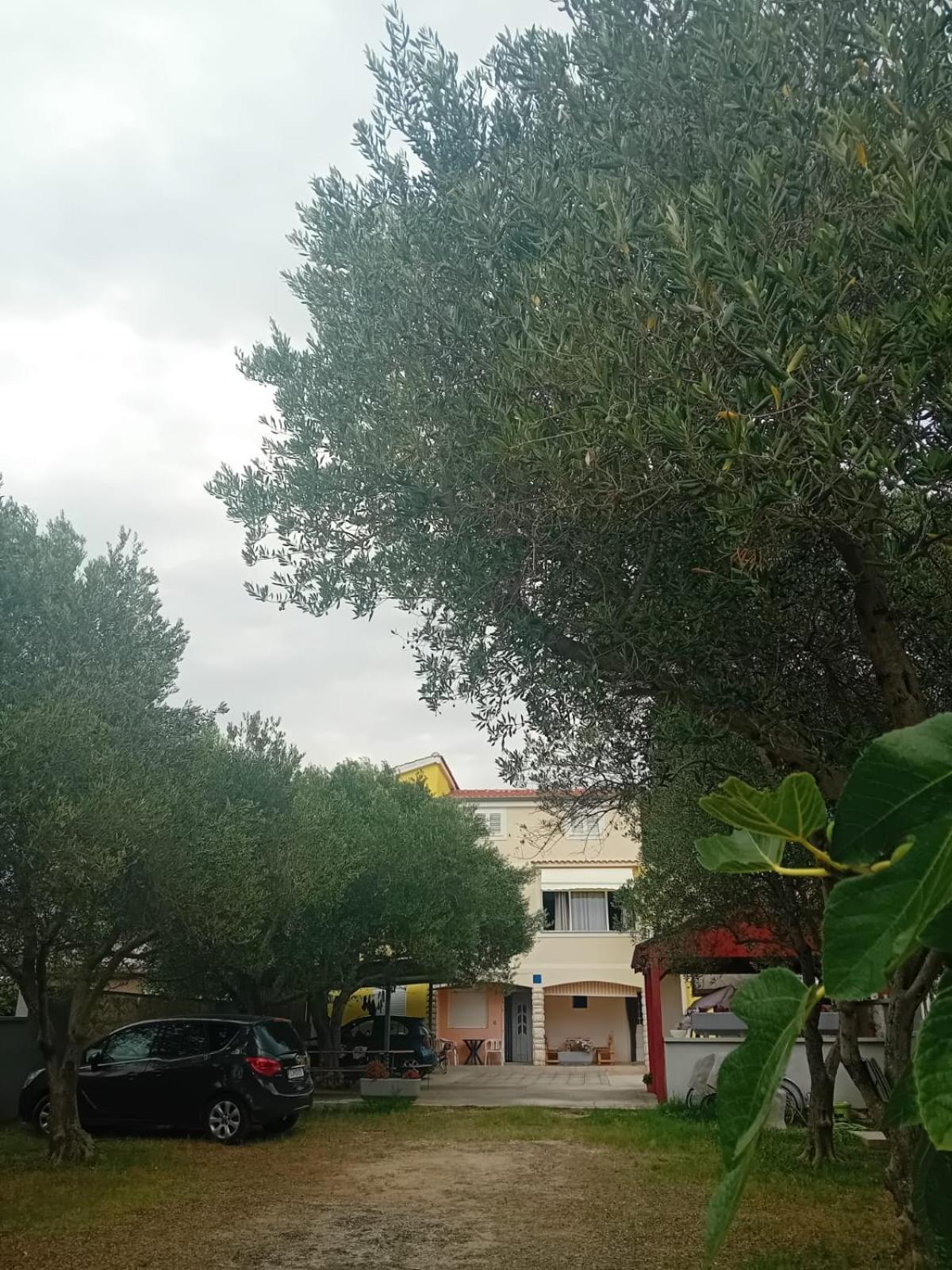 Apartmani A&N Bibinje Kültér fotó